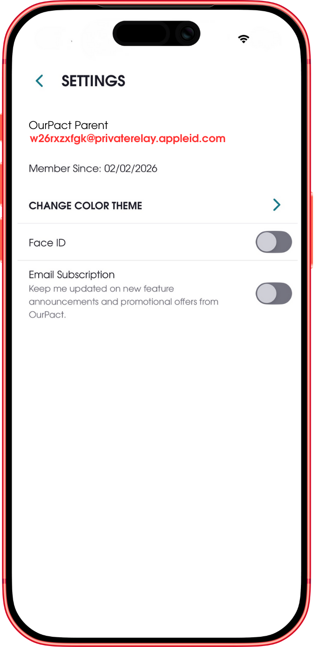 settings private relay.png
